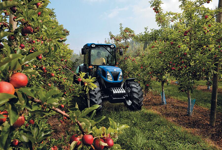 Специализированные тракторы New Holland T4.95N для белорусского садоводства СО СКЛАДА В МИНСКЕ Специализированные тракторы New Holland T4.95N для белорусского садоводства СО СКЛАДА В МИНСКЕ