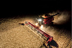 SETTING UP A COMBINE HARVESTER: AGRO TIPS FROM CASE IH
